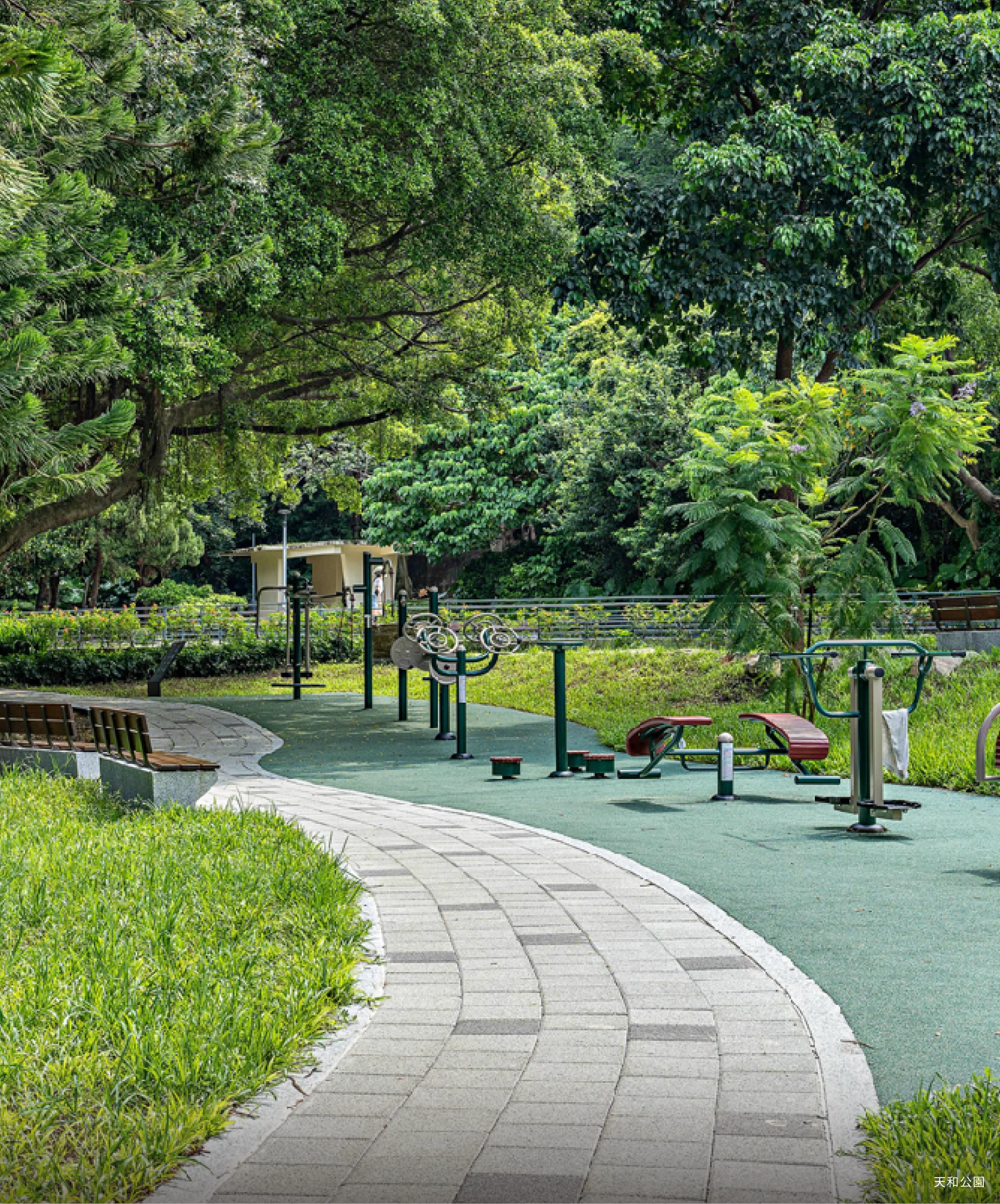 天和公園